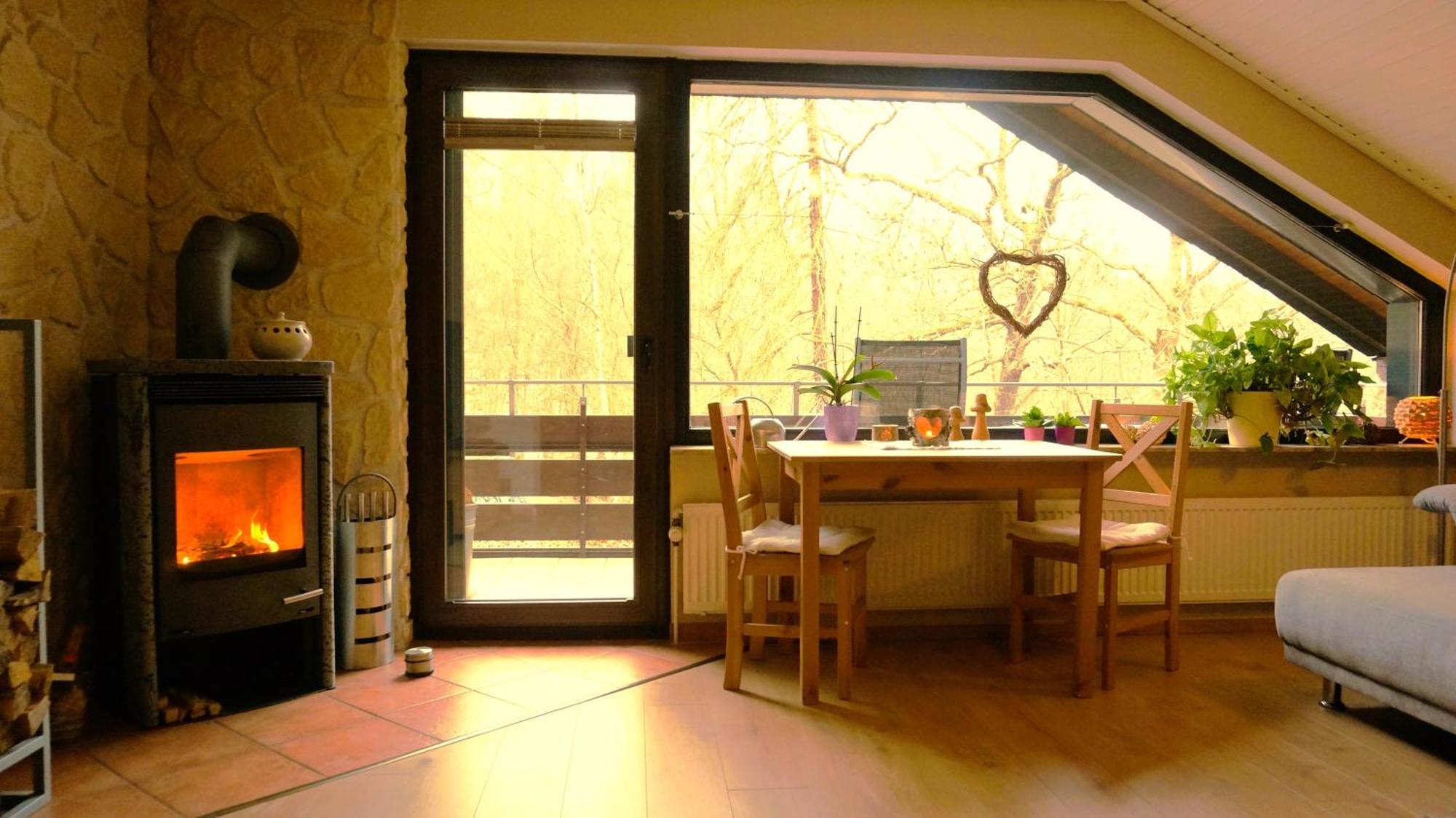 Ferienwohnung Im Wald Mit Kamin Bad Harzburg Exterior photo