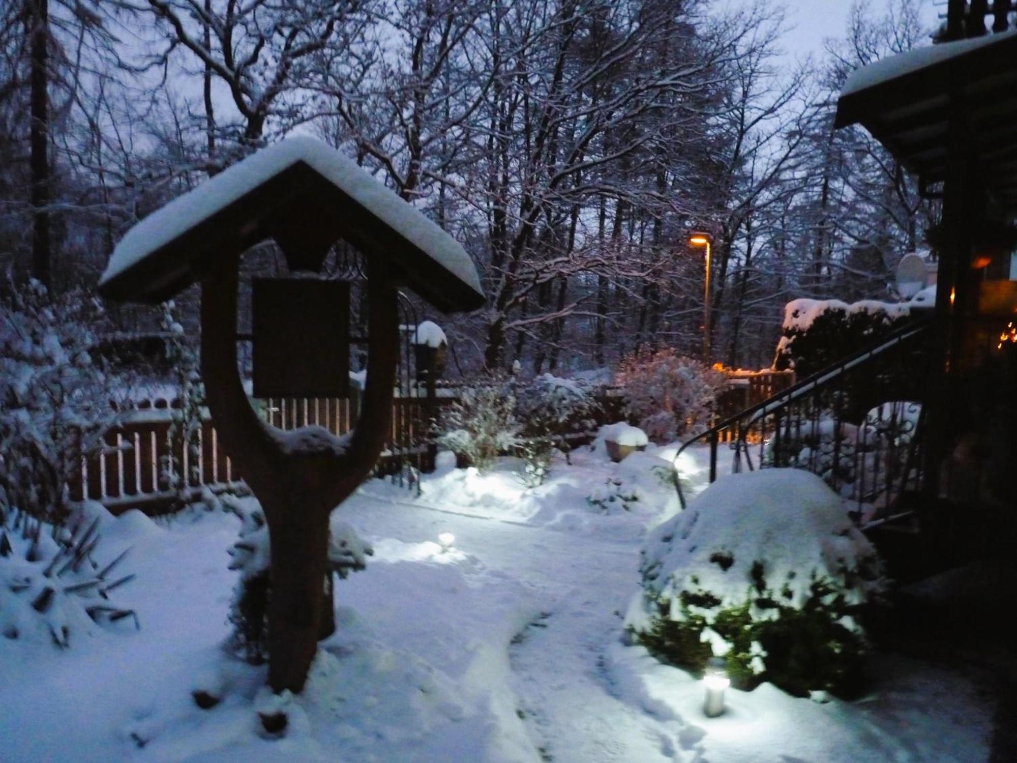 Ferienwohnung Im Wald Mit Kamin Bad Harzburg Exterior photo